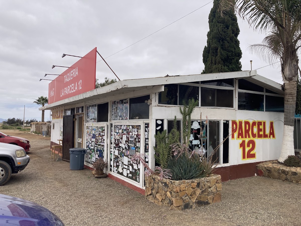 Parcela 12
